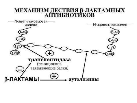 ПРОТИВОМИКРОБНЫЕ СРЕДСТВА вещества НЕизбирательного антисептические ...