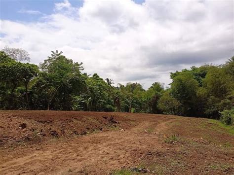 Agricultural Lot For Sale With Good Amenities For Residential Only