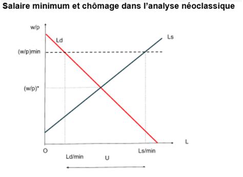 Chapitre 3 eco Comment lutter contre le chômage Flashcards Quizlet