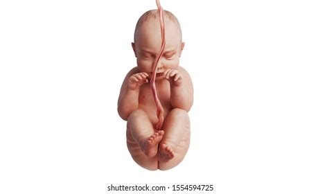 Naked Baby Images Stock Photos And Vectors Shutterstock