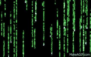 Matrix Code - Green 1440x900 for Dreamscene on Make a GIF