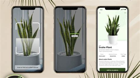 Best Plant Identifier Apps