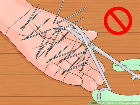 3 Ways to Remove Porcupine Quills - wikiHow