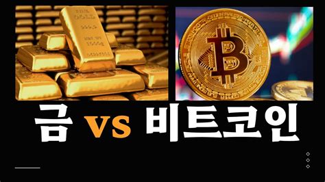 금 Vs 비트코인 당신이라면 어디에 투자하시겠습니까 Youtube