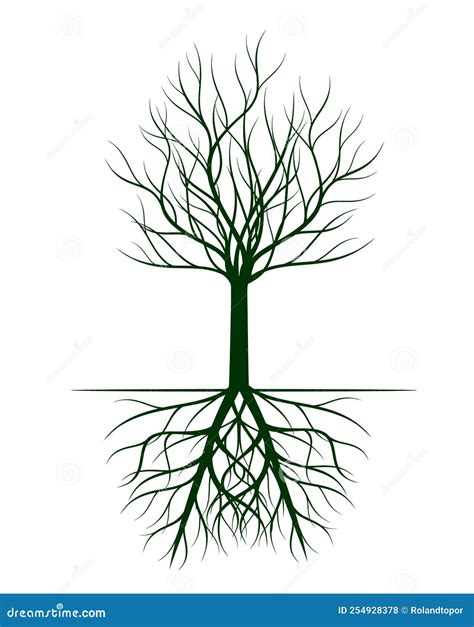 Naked Tree Vector Outline Illustration Plant In Garden Stock Vector