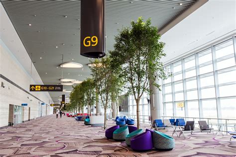 A Look Inside the New Terminal at Singapore Changi Airport