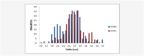 Histogrammes des fréquences en tailles du mulet dans le barrage de Sidi