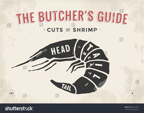 Cut Meat Set Poster Butcher Diagram Stock Vector Royalty Free 440719510 Shutterstock