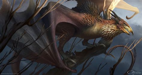 Wyvern By Arvalis On Deviantart