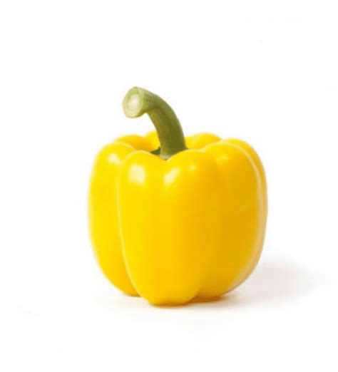 Sven Rz F Sweet Blocky Capsicum Seed Activevista For Market Farm