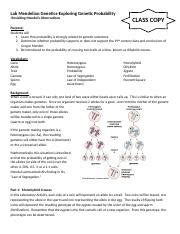 Exploring Genetic Probability 1516 Lj Docx Lab Mendelian Genetics