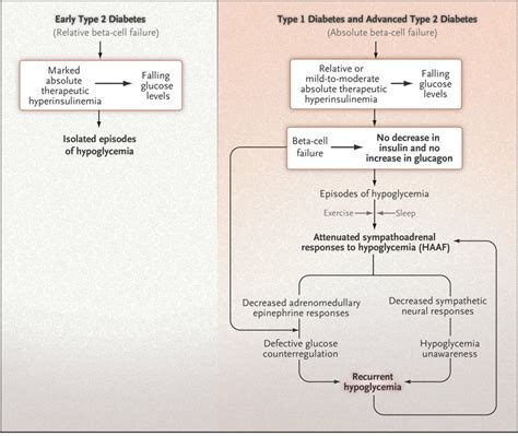 Mechanisms Of Hypoglycemia Associated Autonomic Failure In Diabetes Nejm