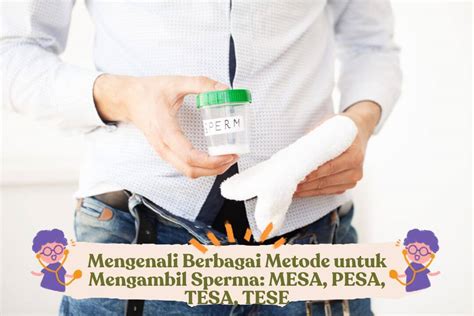 Layanan Pengambilan Sperma MESA PESA TESA TESE