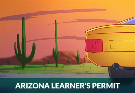 Arizona Drivers License Renewal Guide Zutobi Drivers Ed