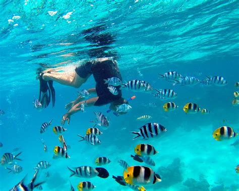 Bora Bora snorkeling map lagoon tour aquarium site