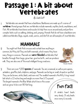 Vertebrates Informative Writing Prompt With 3 Passages Articles TPT