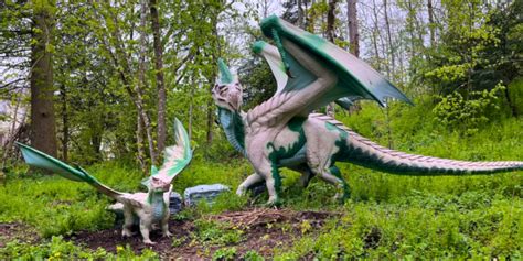 Dragons Parcours Dans Les Arbres Et Mini Ferme Au Ch Teau Parc De