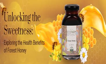 Exploring Health Wonders Exploring The Benefits Of Forest Honey