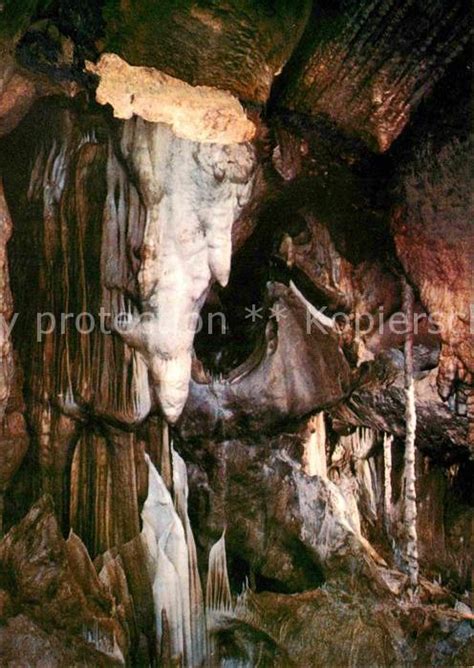 Hoehlen Caves Grottes Attendorn Tropfsteinhoehle Eisbaer Kat Berge Nr