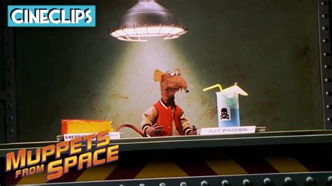 Muppets From Space Rizzo S Rat Training CineStream YouTube