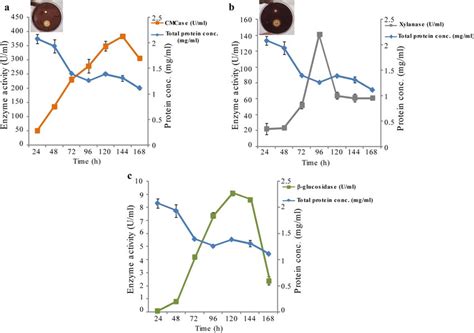 Cellulase Activity Profile Of Penicillium Citrinum Isolate Pkb20 With