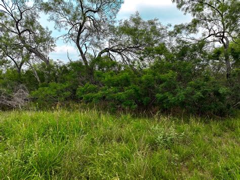 Acres Of Recreational Land For Sale In D Hanis Texas Landsearch