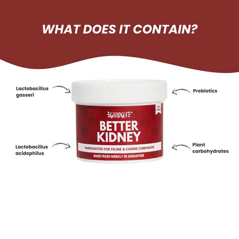 Better Kidney – Good Gut Official