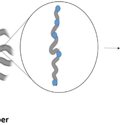 The Application Of Electrospun Nanofibers In Drug Delivery Systems Download Scientific Diagram