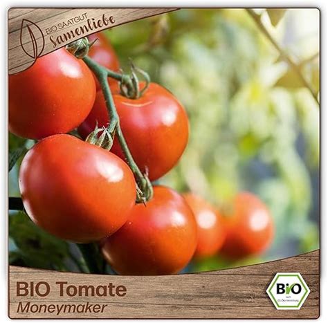 Samenliebe BIO Tomaten Samen Alte Sorte Moneymaker Freilandtomate