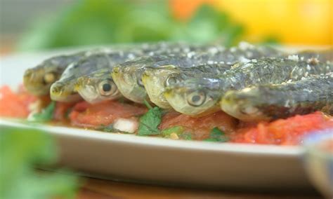 Recette Sardine à La Tomate à La Plancha Petits Plats En équilibre Tf1