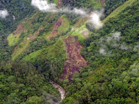 Deforestación En Colombia Disminuyó Un 29