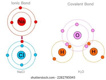 Covalent Bond Chart