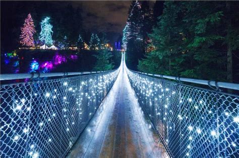 Capilano Suspension Bridge and Park