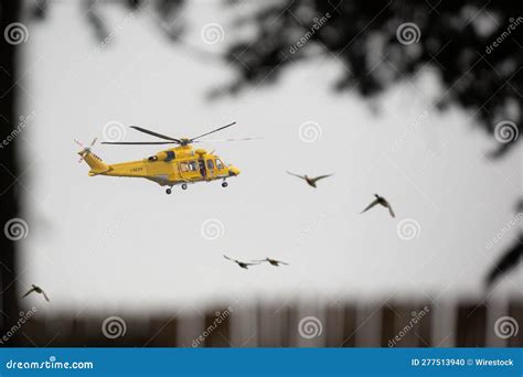 Closeup Of A Yellow Rescue Helicopter Flying In A Cloudy Sky Against A Flock Of Birds Editorial