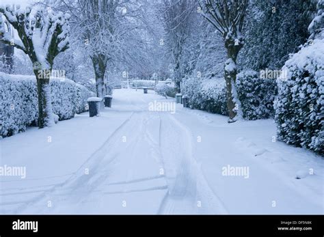 Winter Wonderland Scene Quiet Tree Lined Residential Street With