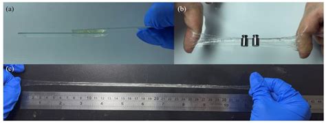 Polymers Free Full Text Stretchable Adhesive And Biocompatible