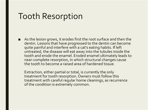 Tooth Resorption In Cats Ppt