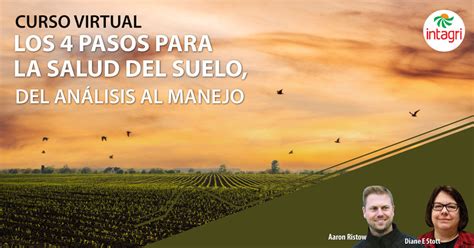 Los 4 pasos para la salud del suelo del análisis al manejo