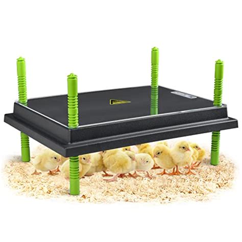 Top 10 Large Chicken Brooders: The Ultimate Buying Guide for Poultry ...