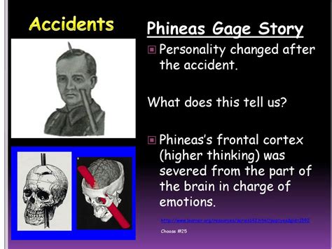 The Brain Ppt Download