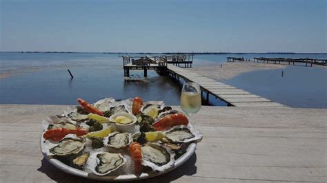 Etang De Thau Hu Tres Et Moules Menac Es Par La Temp Rature Trop