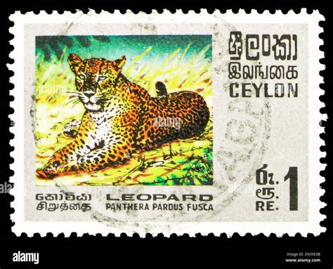 Moscow Russia February Postage Stamp Printed On Ceylon