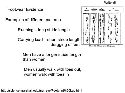 Footwear Evidence Footwear Evidence What Is Footwear Evidence