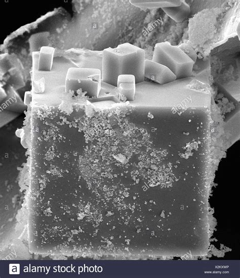 Salt Microscope High Resolution Stock Photography and Images - Alamy