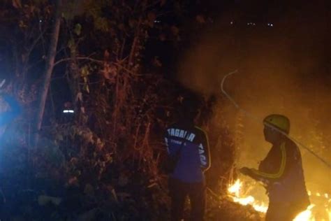 Kebakaran Hutan Kembali Terjadi Di Situbondo Terdeteksi Di Lokasi