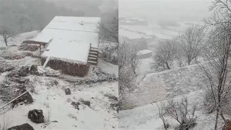 Pakistans Northern Areas Receive Rain Snowfall Dialogue Pakistan