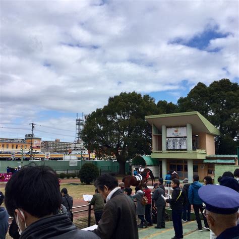 名古屋競馬場で逢おう 新春盃 府中白糸台日記