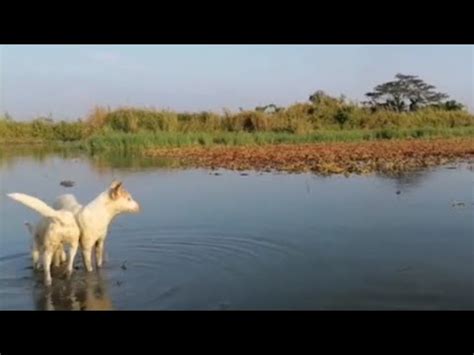 EP3 FISHING NET UNANG BAGSAK BULIG AGAD ANG HULI YouTube