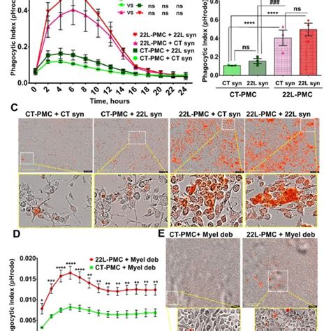 Preparation Of Adult Primary Microglia Cell Cultures A Download Scientific Diagram