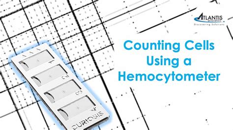 Hemocytometer Types Design Parts And Procedure For Cell 58 Off